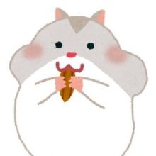 keiba.sukihamu