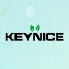 keynicejapan