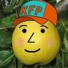 kfpyurkogruha