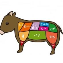 kiku.kaz