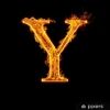 kirisci.yasin