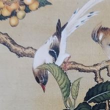 kitadoku95