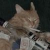 kittychanelx