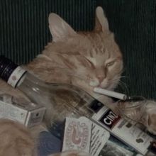 kittychanelx