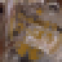 kkondoo