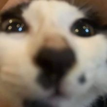 kleiroww