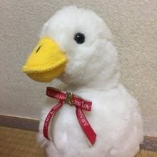 komomo.arashi