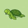 kookiesturtle