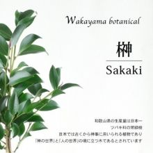 kozuro.sakaki