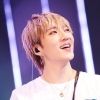 kpop33love