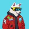 krinkko.the.cat