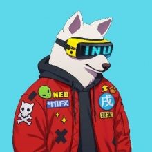 krinkko.the.cat