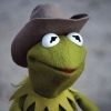 kriptokermit