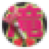 kurumipan718