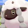 lec.wooloo