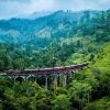leenali50757