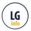 lg.info