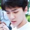 lilsehunnie