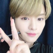 linoscookie