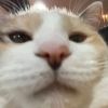 llllk0l