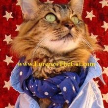 lorenzothecat