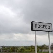 losevoprobka
