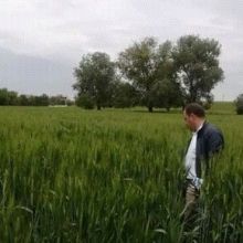 louahdinacer