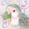lovebirdshowcas