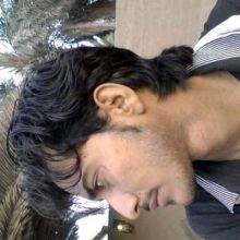 lshr00082388