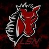 lsn.projectgrad