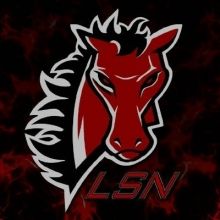 lsn.projectgrad