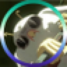 lucaspsi3