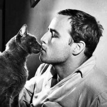 lucycat1962