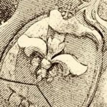 luigipuce