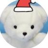 lukbear