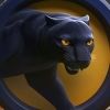 luncpanther