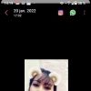 majda.ayman