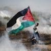 majdalpalestini
