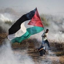 majdalpalestini