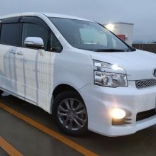 mako08939374