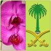 manar9alriyadh2