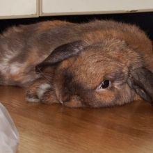 manuki.photo
