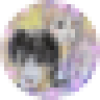marurokiko