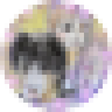 marurokiko