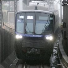masuonohaha