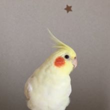 mayumi.nanami12