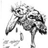 mborogoves