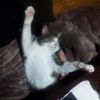 meeetings