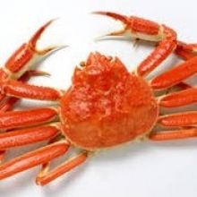 mejiroraian.uni