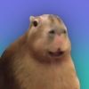 meltedvideos